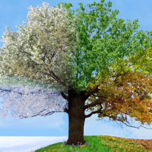 Ritucharya Ayurveda Seasons