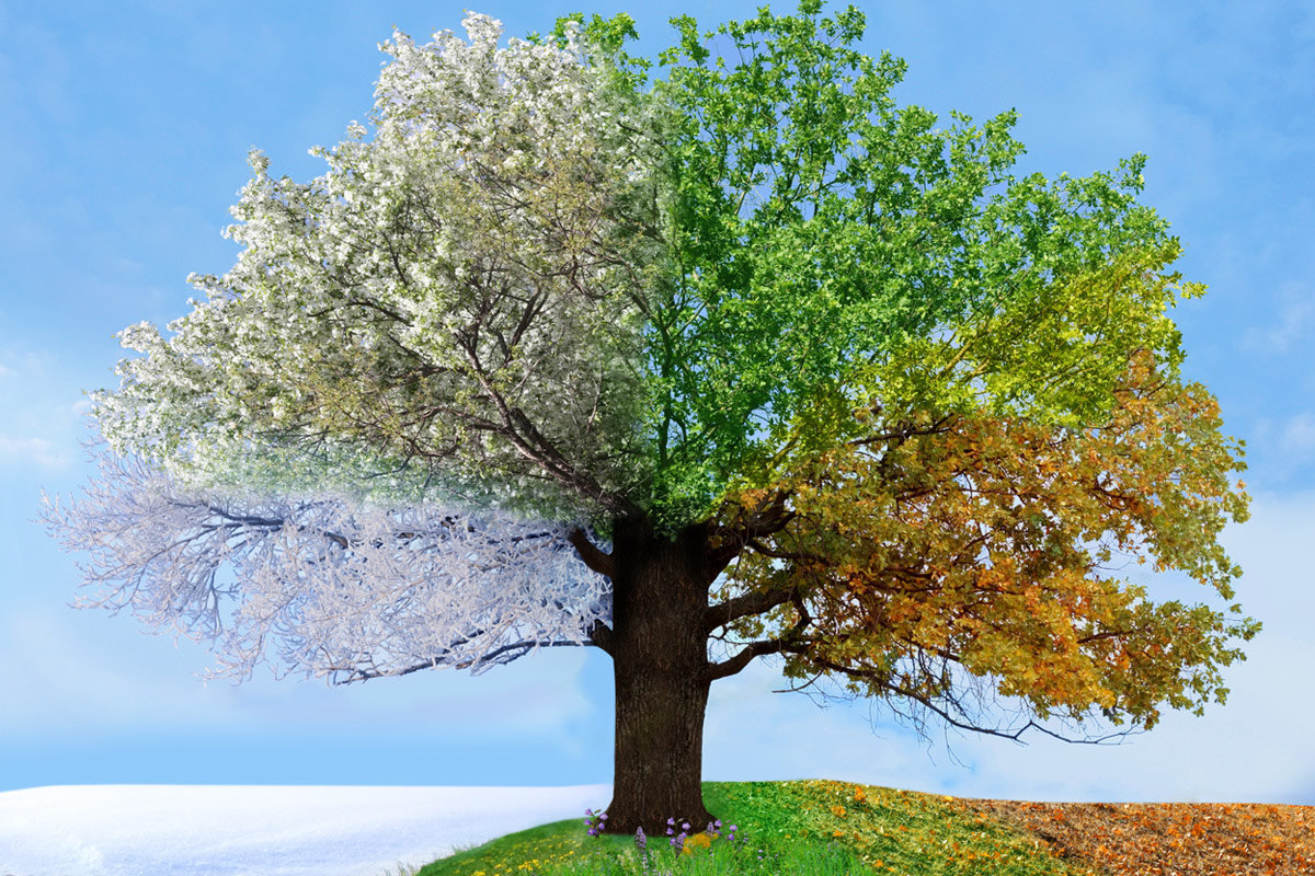 Ritucharya Ayurveda Seasons