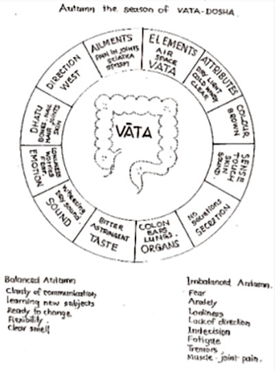 vata season ritucharya