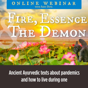 Fire, Essence, The Demon