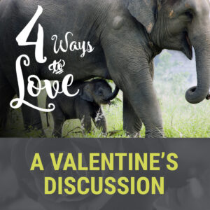 4 Ways to Love